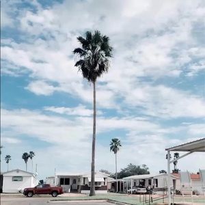 Meet your Posher, Bridget